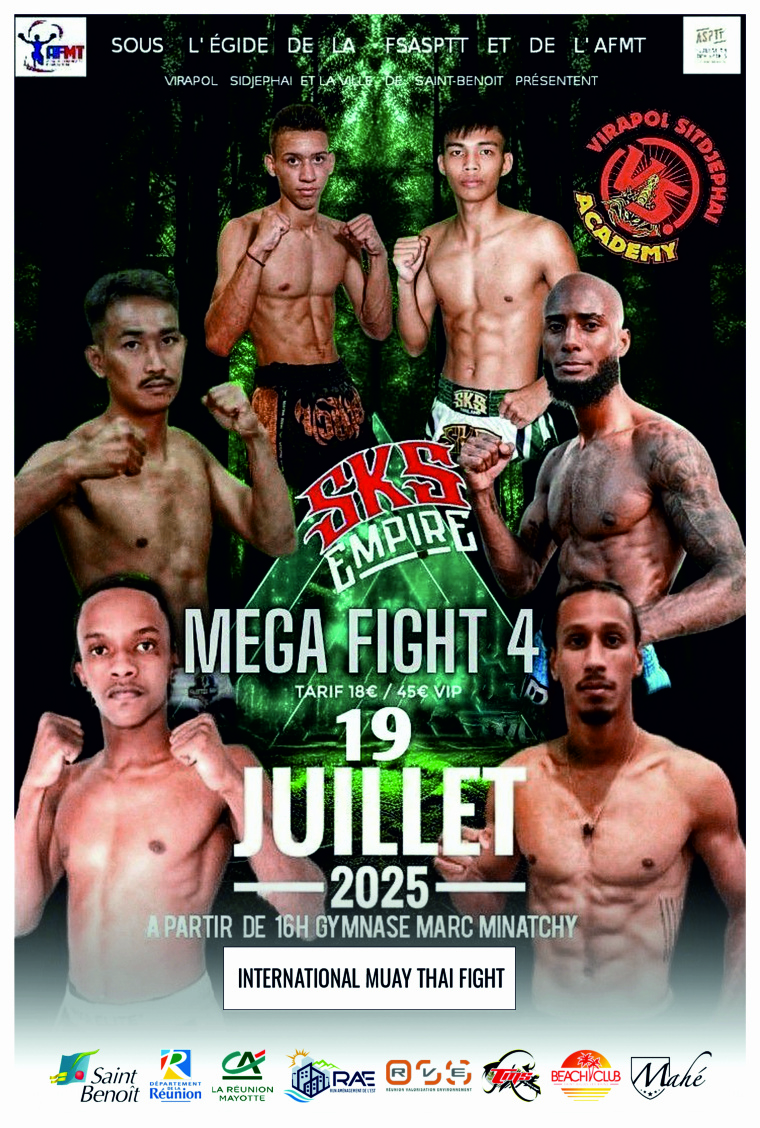Affiche de Méga Fight 4