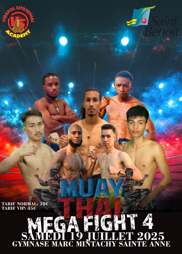 Affiche de Méga Fight 4